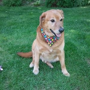 Meet your Posher, Donna